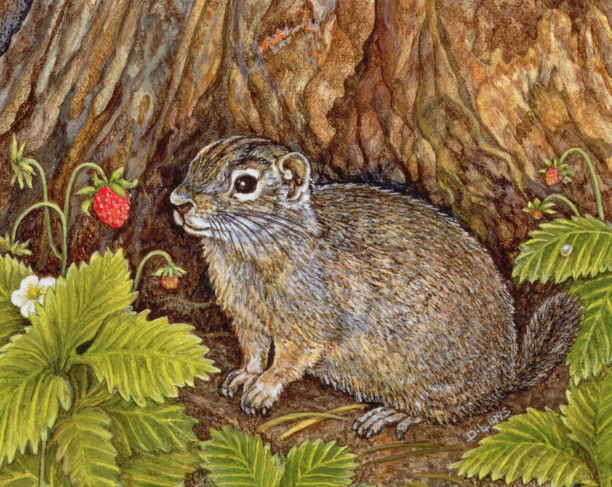 Eagle Creek, Wild Strawberry, Ground Squirrel, 1995 (akryl på panel) af Ditz