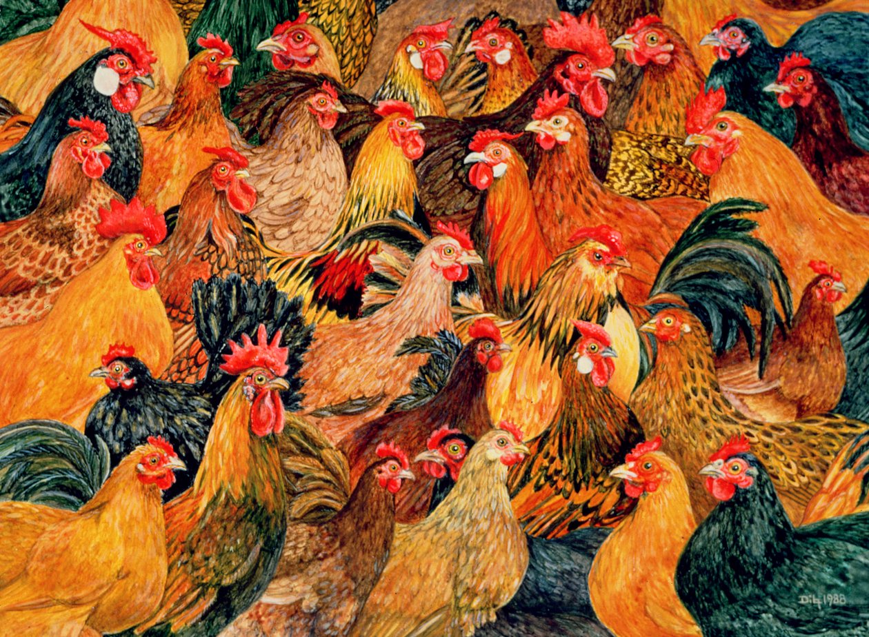 Fine Fowl af Ditz