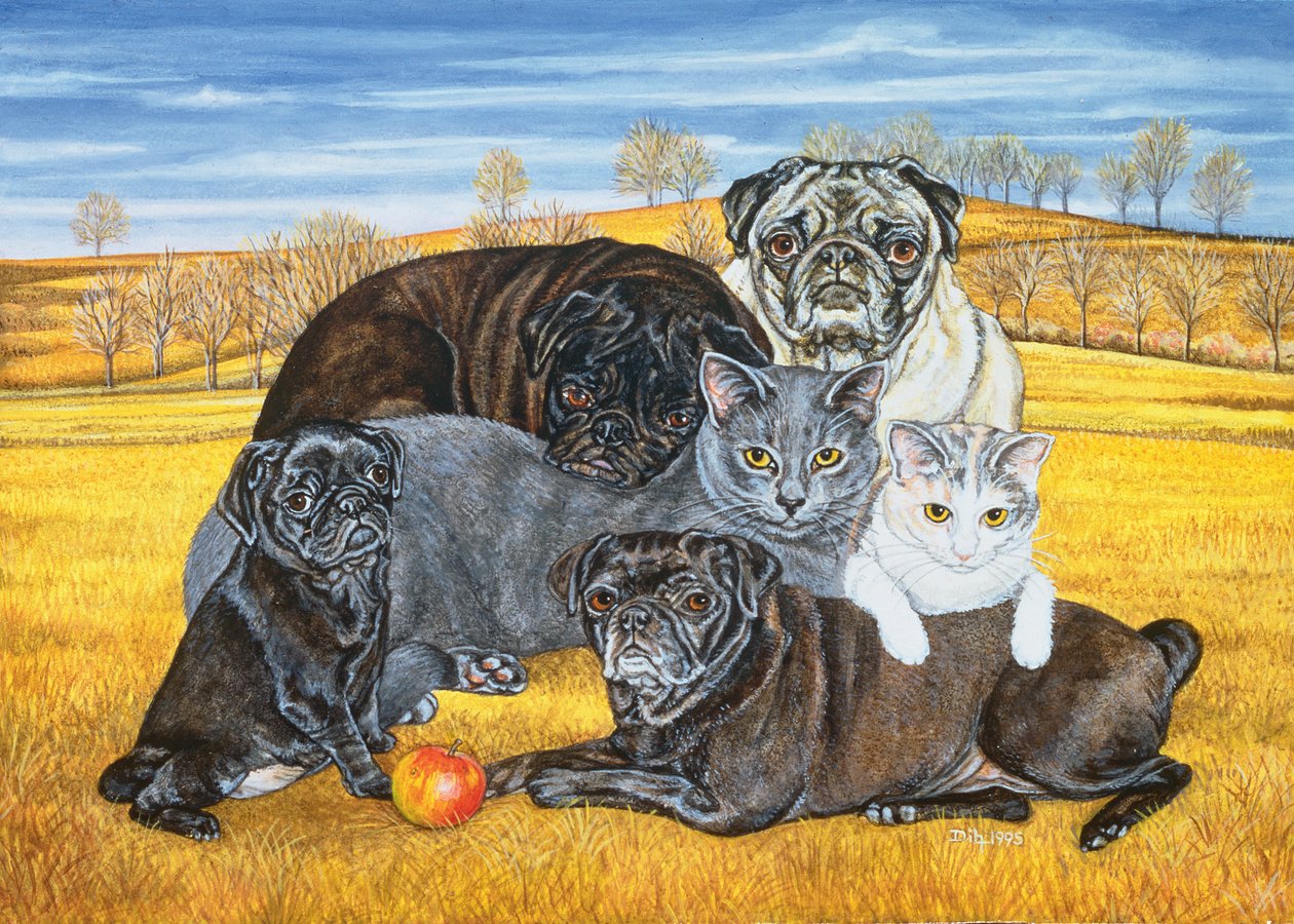 Hocking County Pug-Cats, 1995 af Ditz