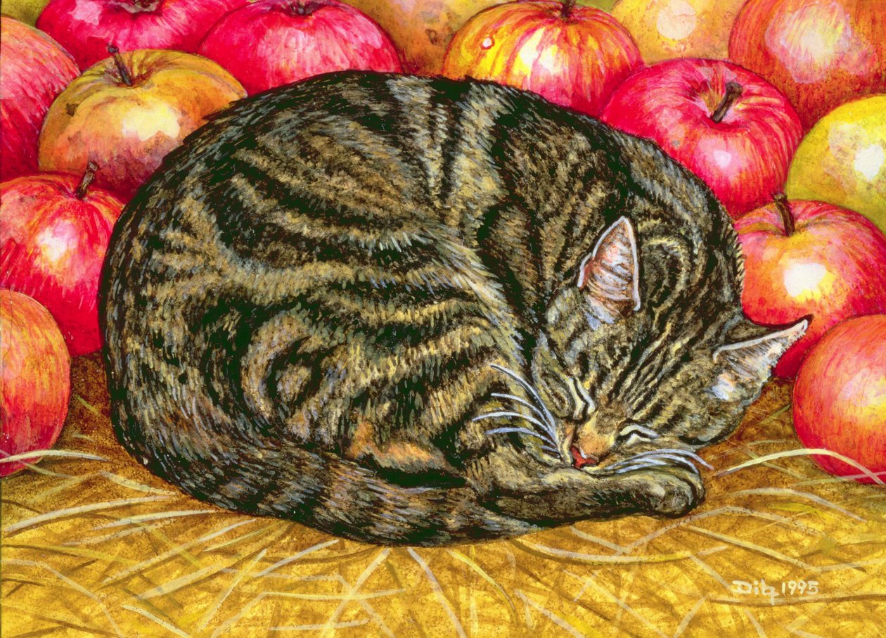 Venstrehånds æblekat, 1995 (akryl på panel) af Ditz