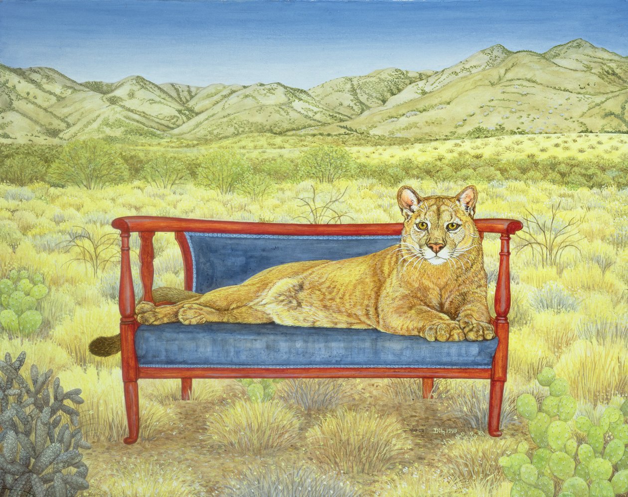 Millers Mountain-Lion af Ditz