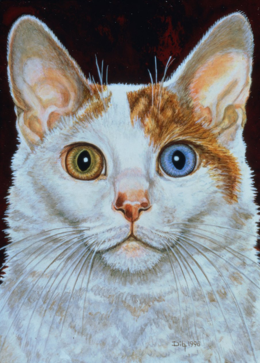 Minette, 1996 (akryl på panel) af Ditz