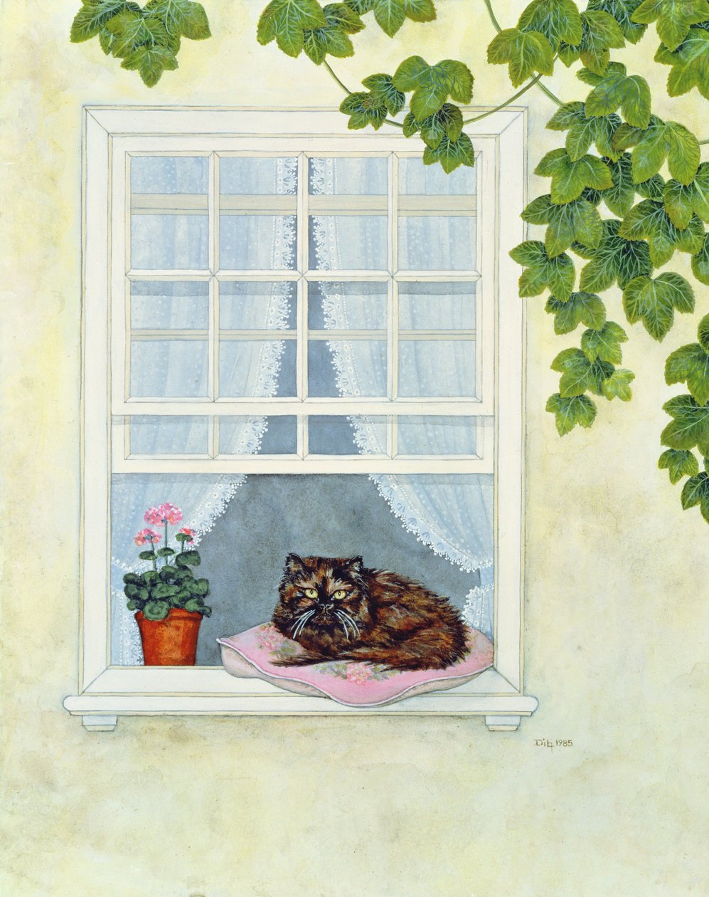 Pams kat af Ditz