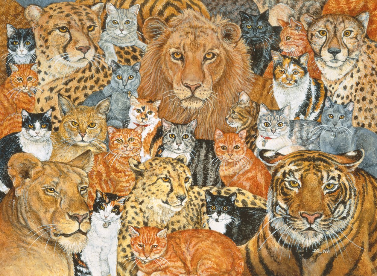 Semi Wild Cat Spread af Ditz