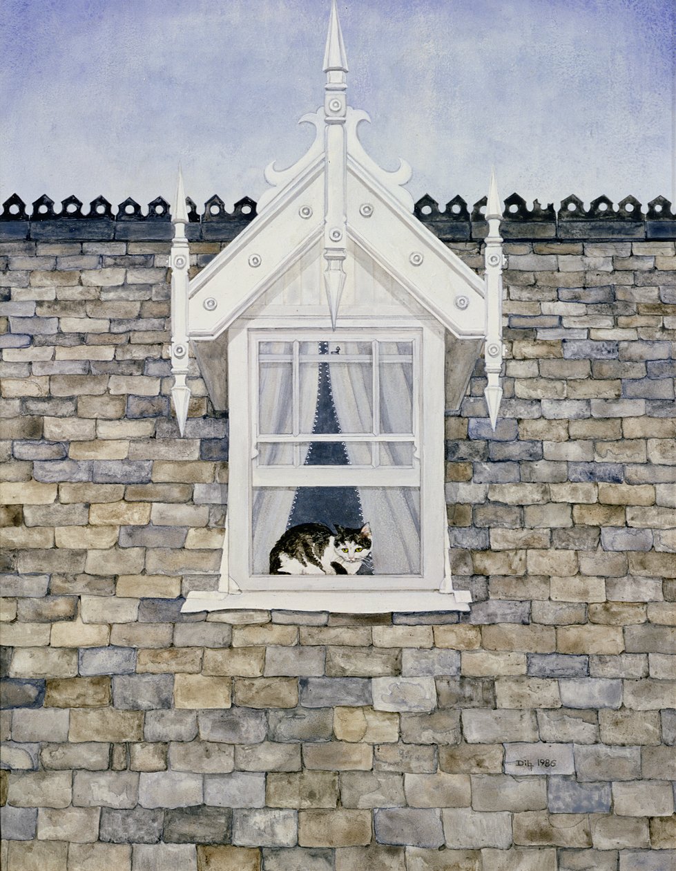 St. Helier Dormer Cat af Ditz