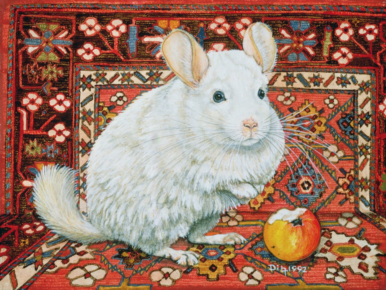 The Carpet-Chinchilla, 1992 af Ditz