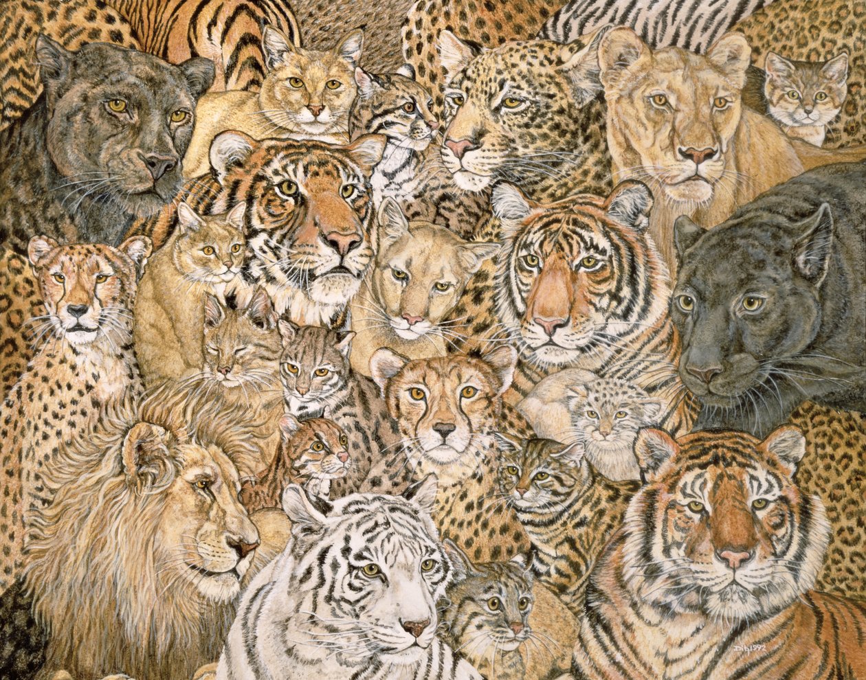 Wild Cat-Spread, 1992 af Ditz