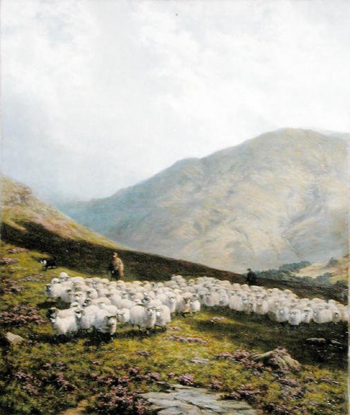 Shepherd and Sheep, Perthshire (olie på lærred) af Dixon Clark