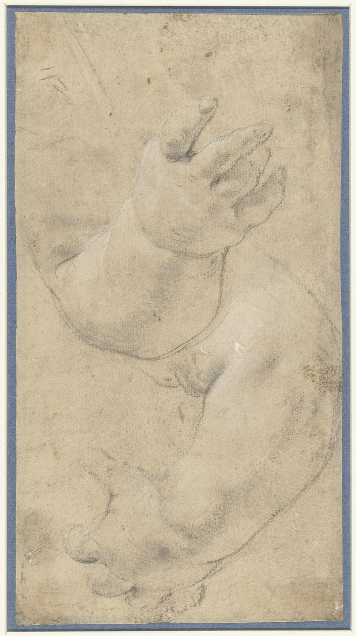 Studie af to børns arme af Domenichino