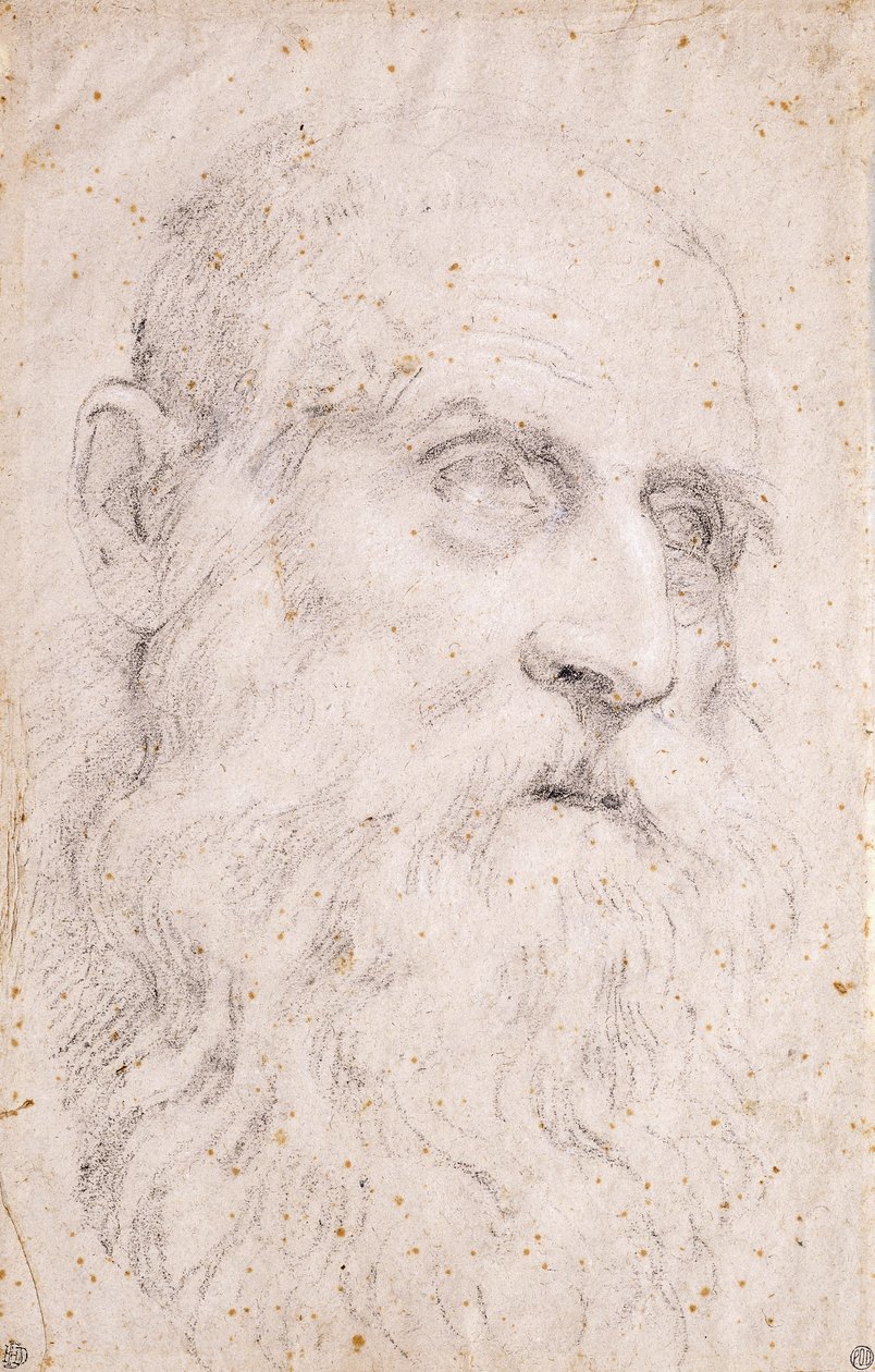 Hovedet af Saint Hieronymus af Domenichino