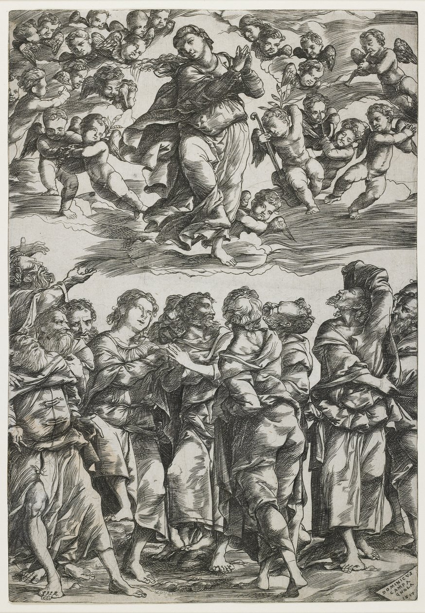 Jomfruens antagelse, 1517 af Domenico Campagnola
