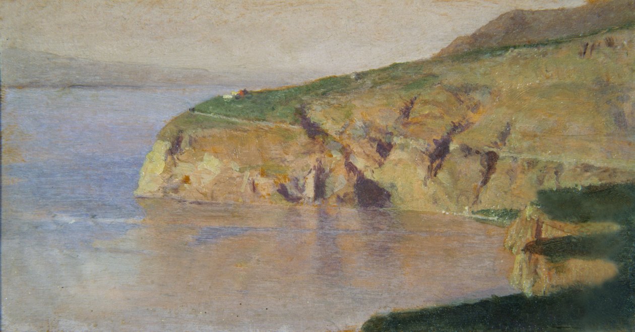 Sorrento Landscape (olie på træ) af Domenico Morelli