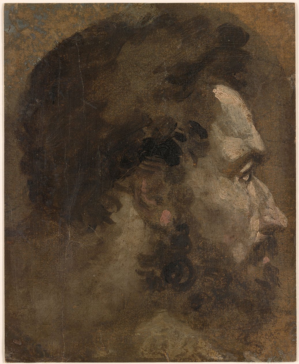 Beccafumi - Hoved af en skægget mand i profil til højre, ca. 1530-1535 af Domenico Beccafumi