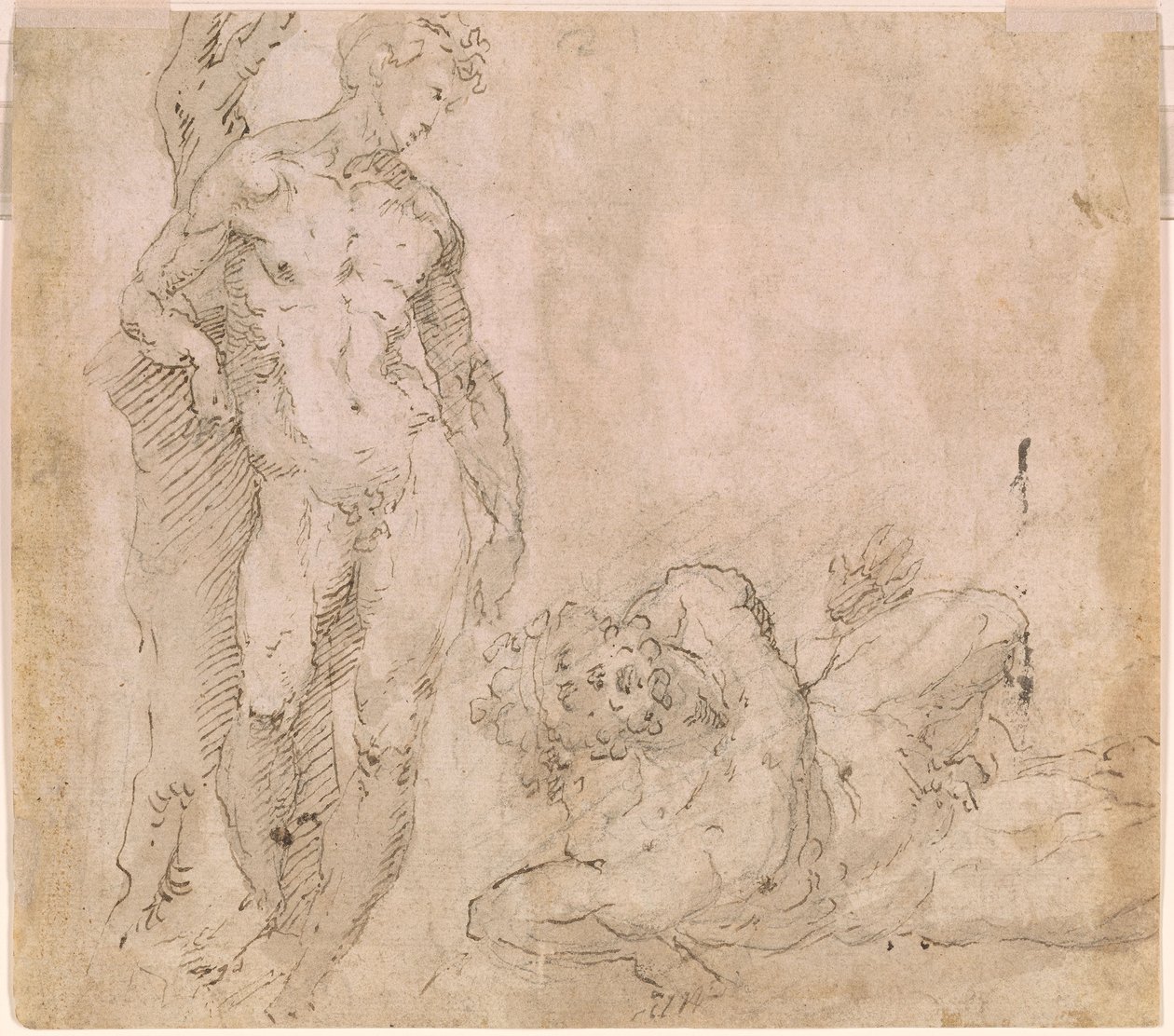 Beccafumi - Verso mandlig nøgenfigur, der læner sig op ad en træstamme, og en liggende mandlig nøgenfigur med tilbagelænet hoved, ca. 1530-1540 af Domenico Beccafumi