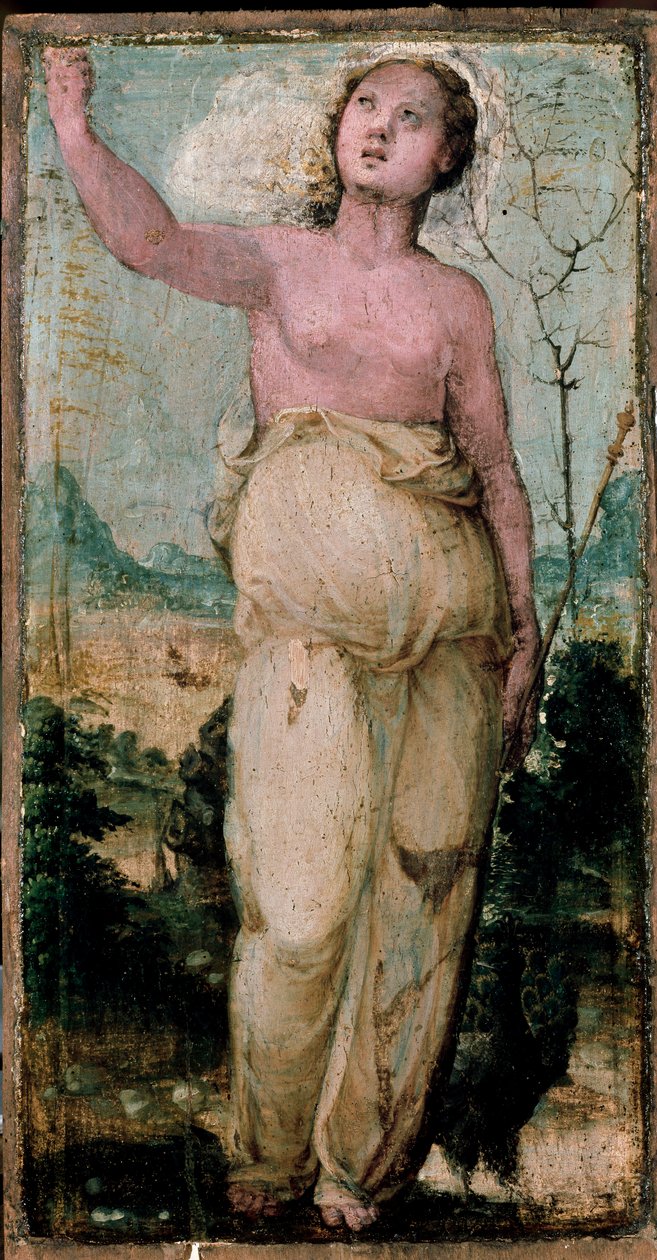 Kvindefigur. Maleri af Domenico Beccafumi (1486-1551). Siena, konservatorium af Domenico Beccafumi