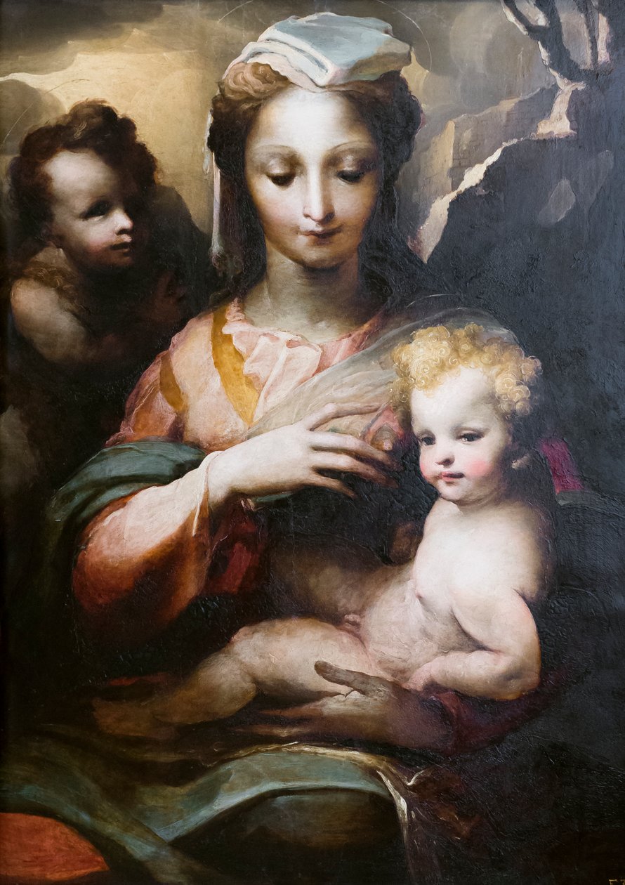 Madonna og barn med en ung helgen Johannes Døberen af Domenico Beccafumi