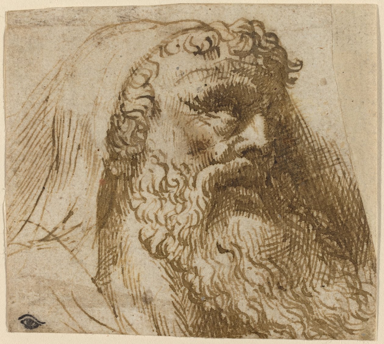 Hoved af en mand af Domenico Campagnola