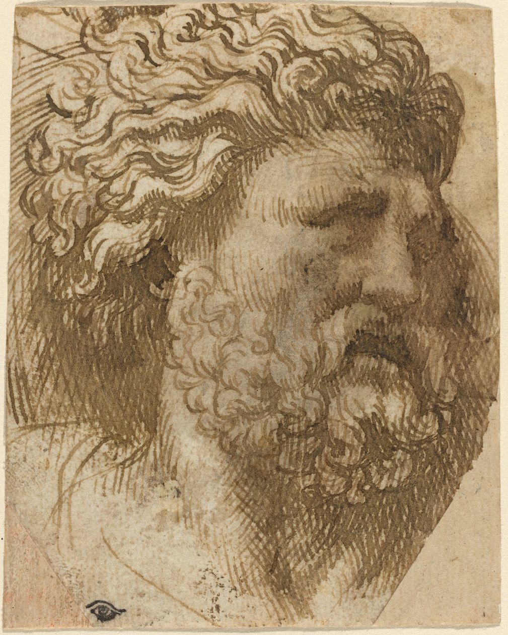 Hoved af en mand af Domenico Campagnola