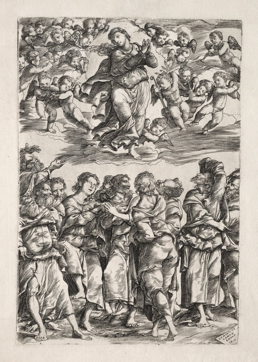 Jomfruens antagelse af Domenico Campagnola