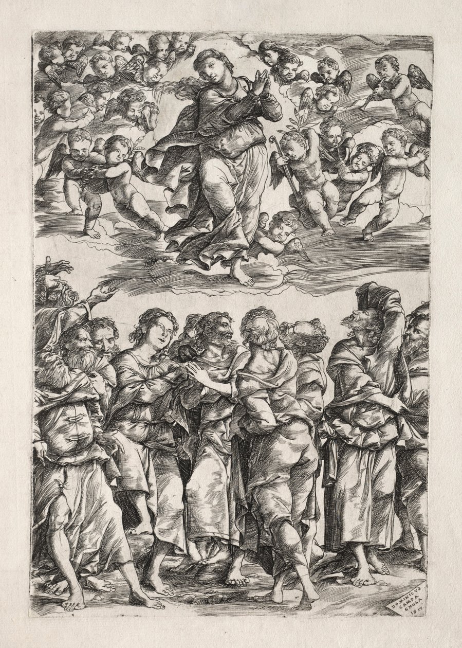 Jomfruens antagelse, 1517. af Domenico Campagnola