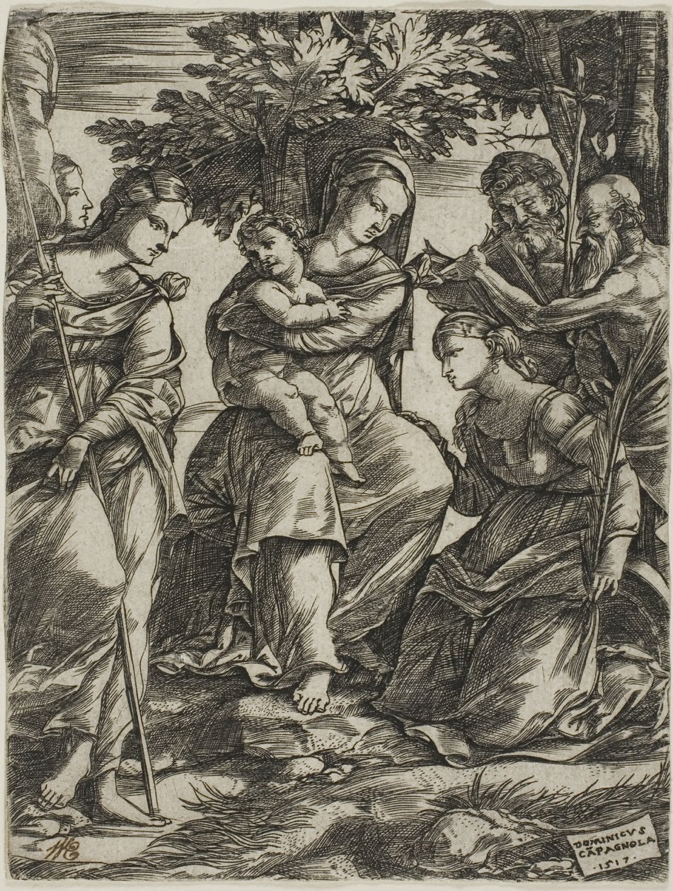 Jomfru og barn med hellige af Domenico Campagnola