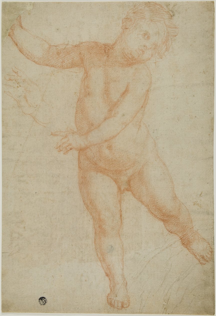 Putto stående på højre ben (recto); Skitse af en draperet arm (verso) af Domenico Cresti
