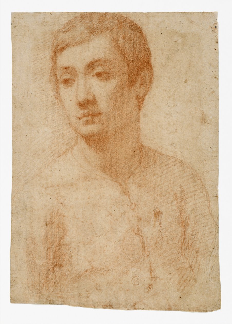 The Head of a Youth, ca. 1600-25 (rødt kridt på lagt papir) af Domenico Cresti