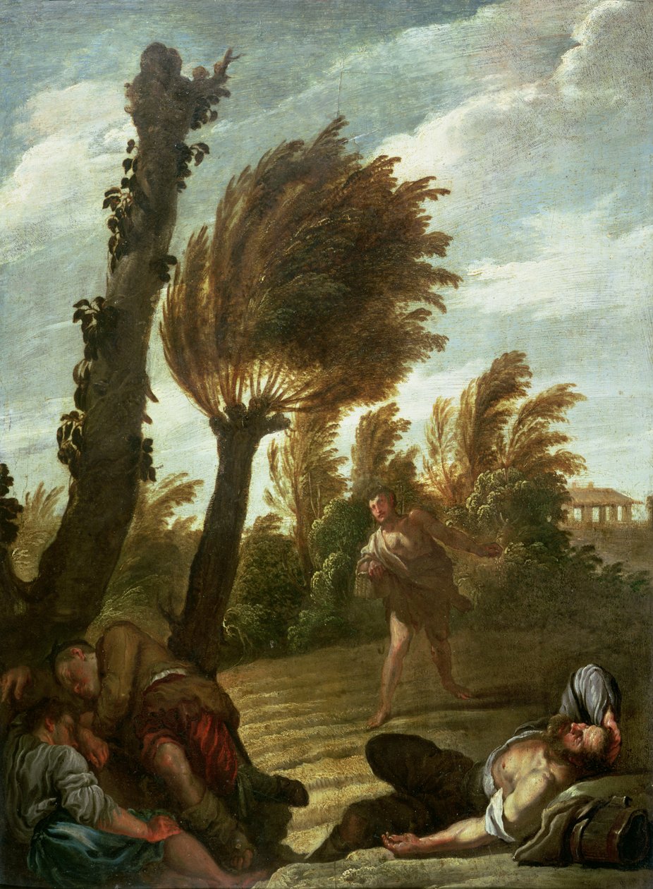 Lignelse om ukrudtssåeren, ca. 1620-21 af Domenico Fetti or Feti