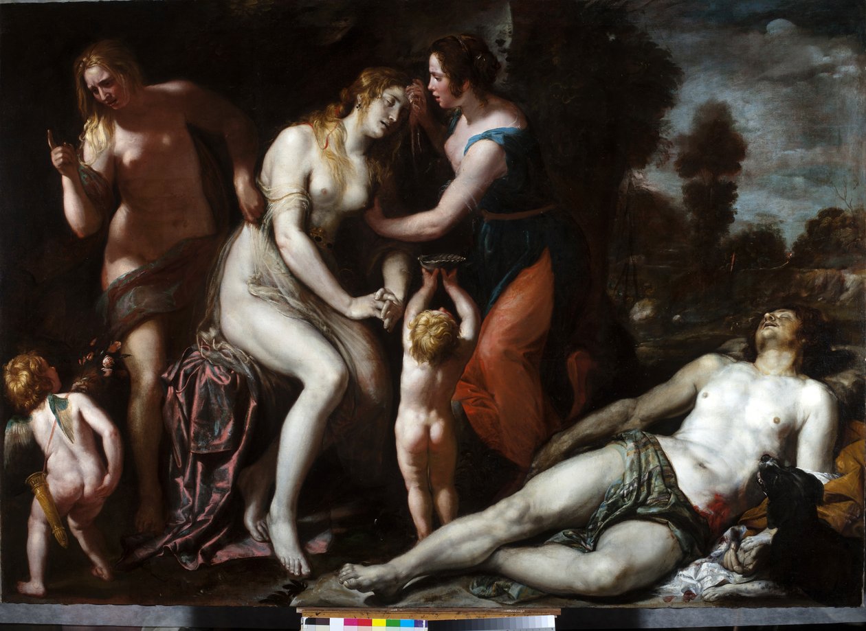 Death of Adonis (olie på lærred) af Domenico Il Sarzana Fiasella