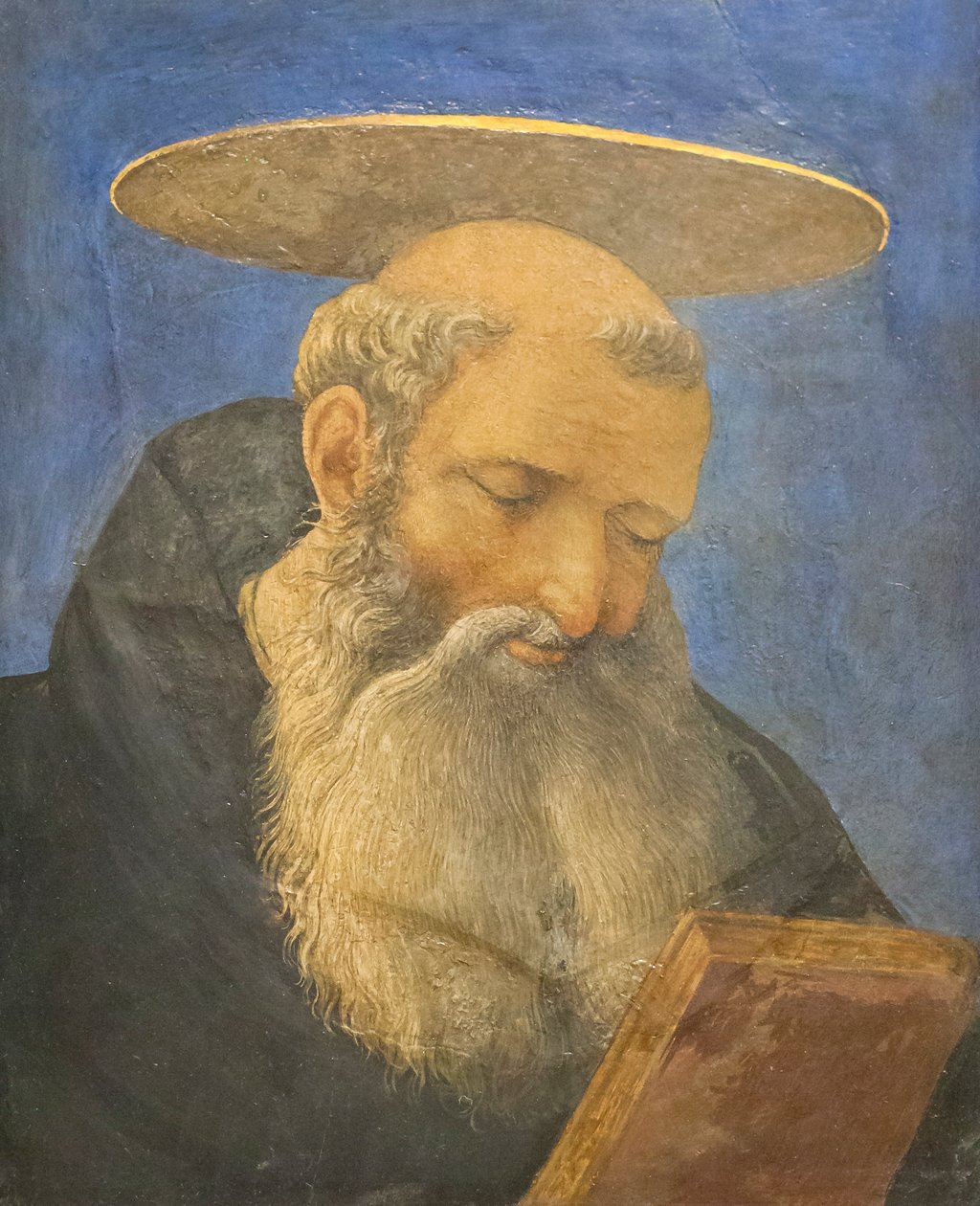Hoved af en tonsureret, skægget helgen, ca. 1440-44 (tempera på træ) af Domenico Veneziano