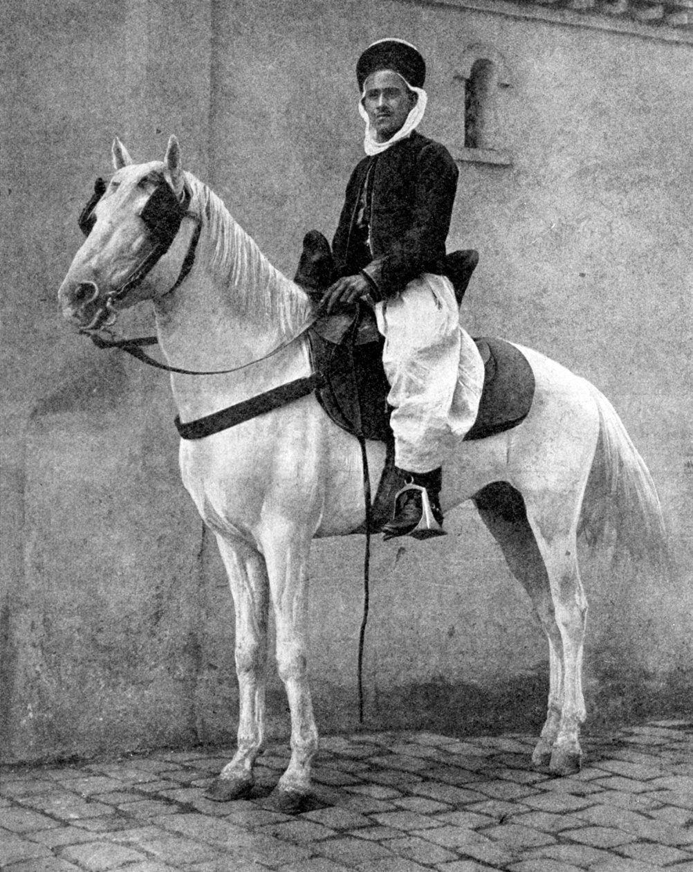 Berberrytter fra den franske hær, 1936. af Donald McLeish