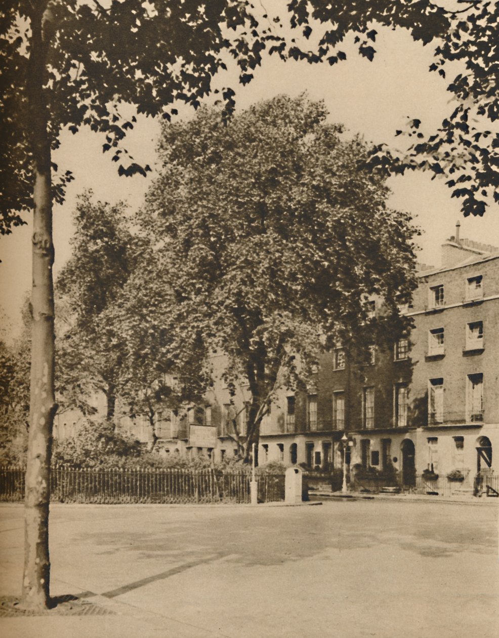 In Boarding-House Land: The Plane Trees of Torrington Square, c1935. af Donald McLeish