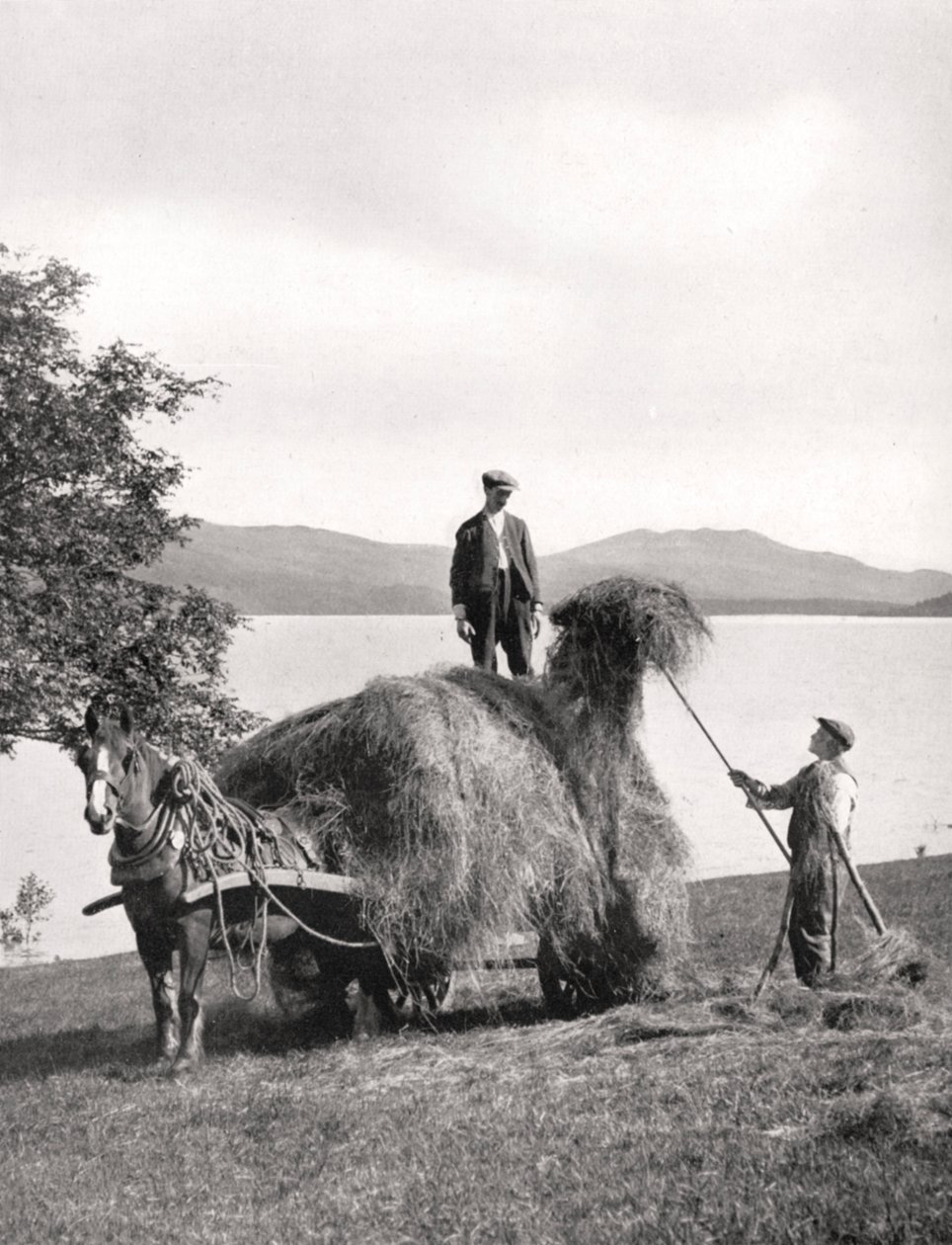 Læsser hø på en vogn på kysten af Loch Lomond, Skotland, 1924-1926. af Donald McLeish