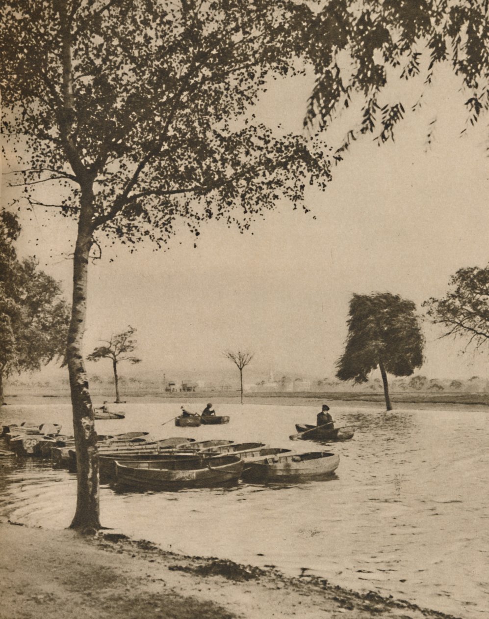 På Blackheath, Greater Londons mest historiske almindelige, c1935. af Donald McLeish