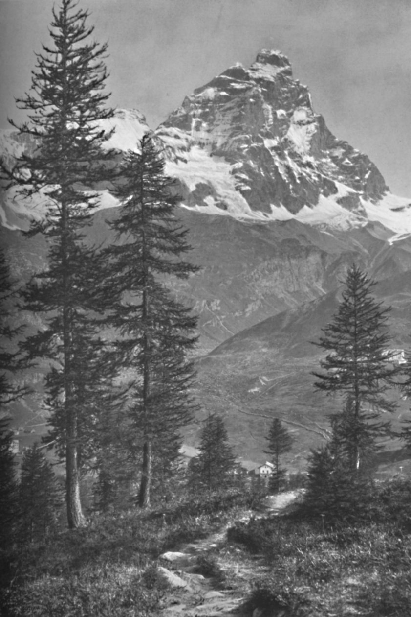 Matterhorn fra den italienske side, Forest of Brueil, 1917 af Donald McLeish