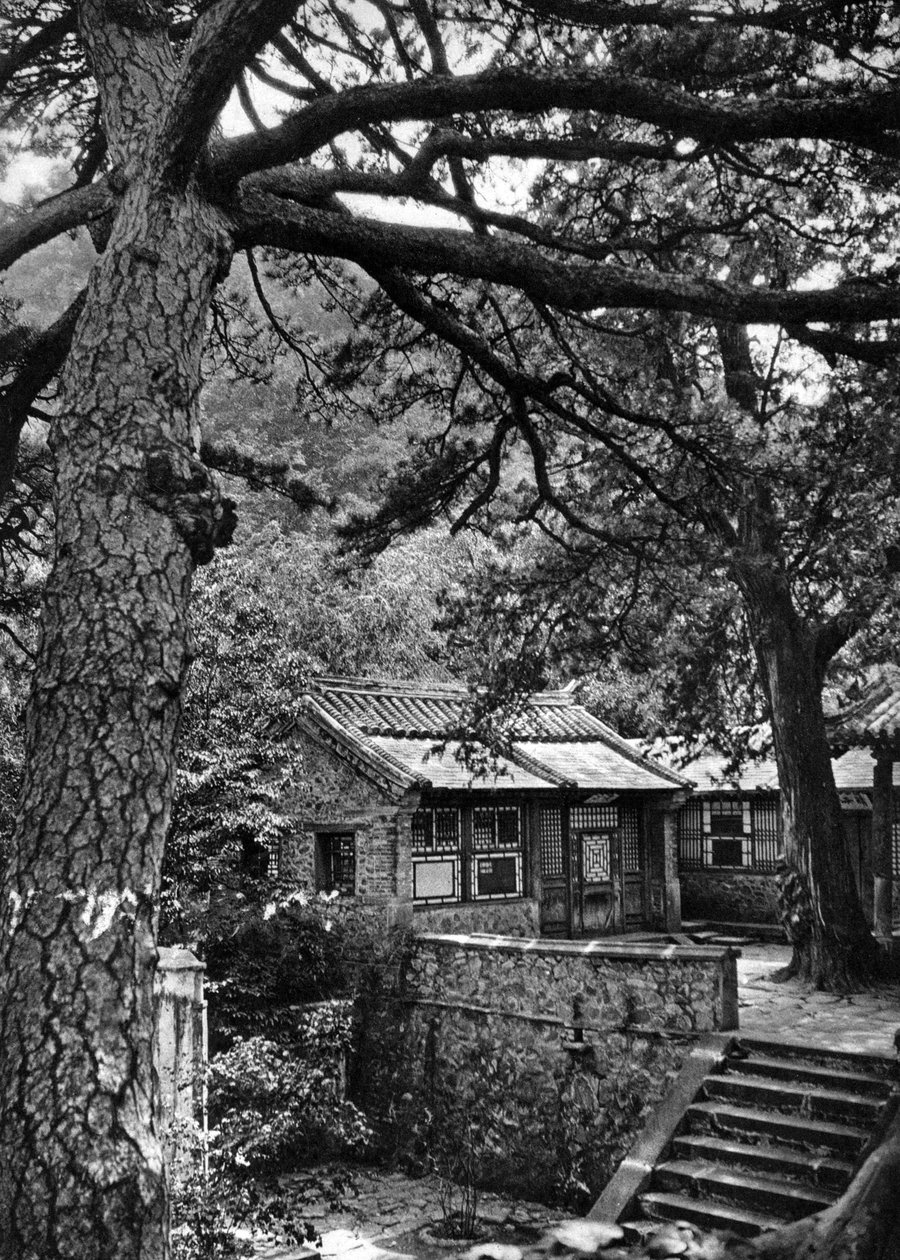 Western Hills, Haidan-distriktet, Beijing af Donald Mennie