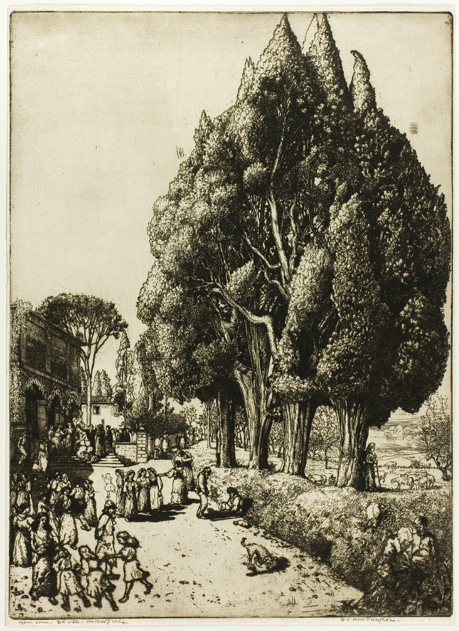 Cypress Grove af Donald Shaw MacLaughlan