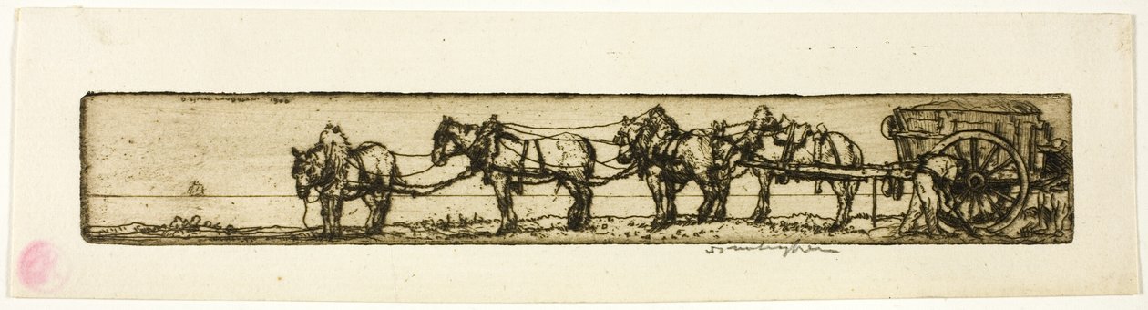 Trækheste af Donald Shaw MacLaughlan