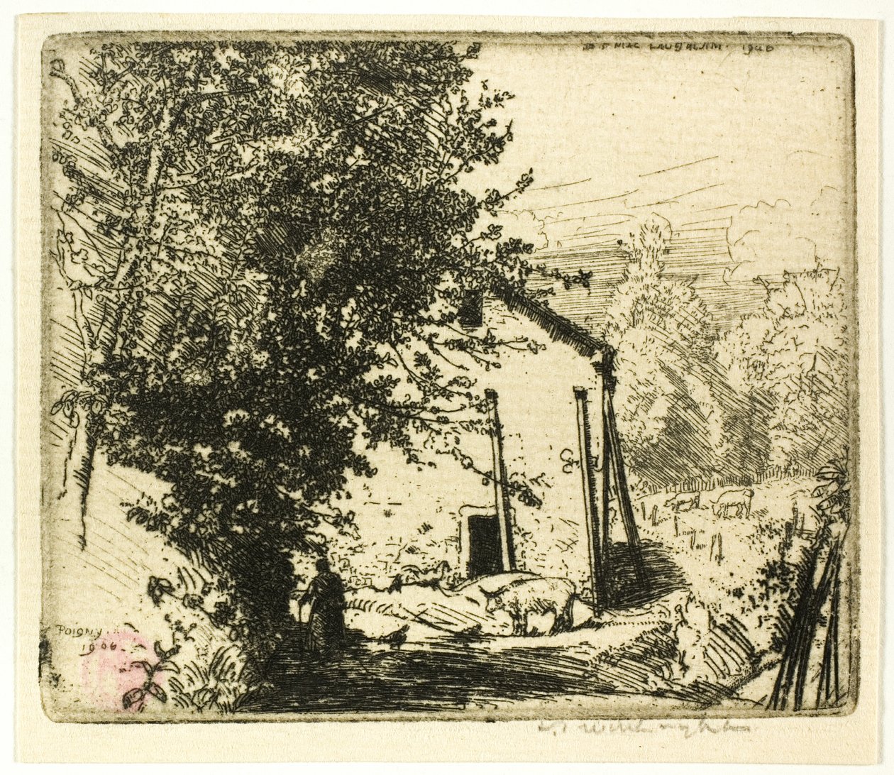 Lille Poigny af Donald Shaw MacLaughlan