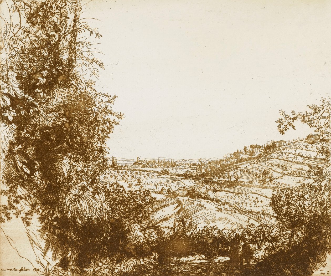 Olivenlunde af Donald Shaw MacLaughlan