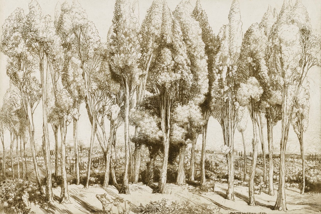 Vejsang nr. 5 af Donald Shaw MacLaughlan