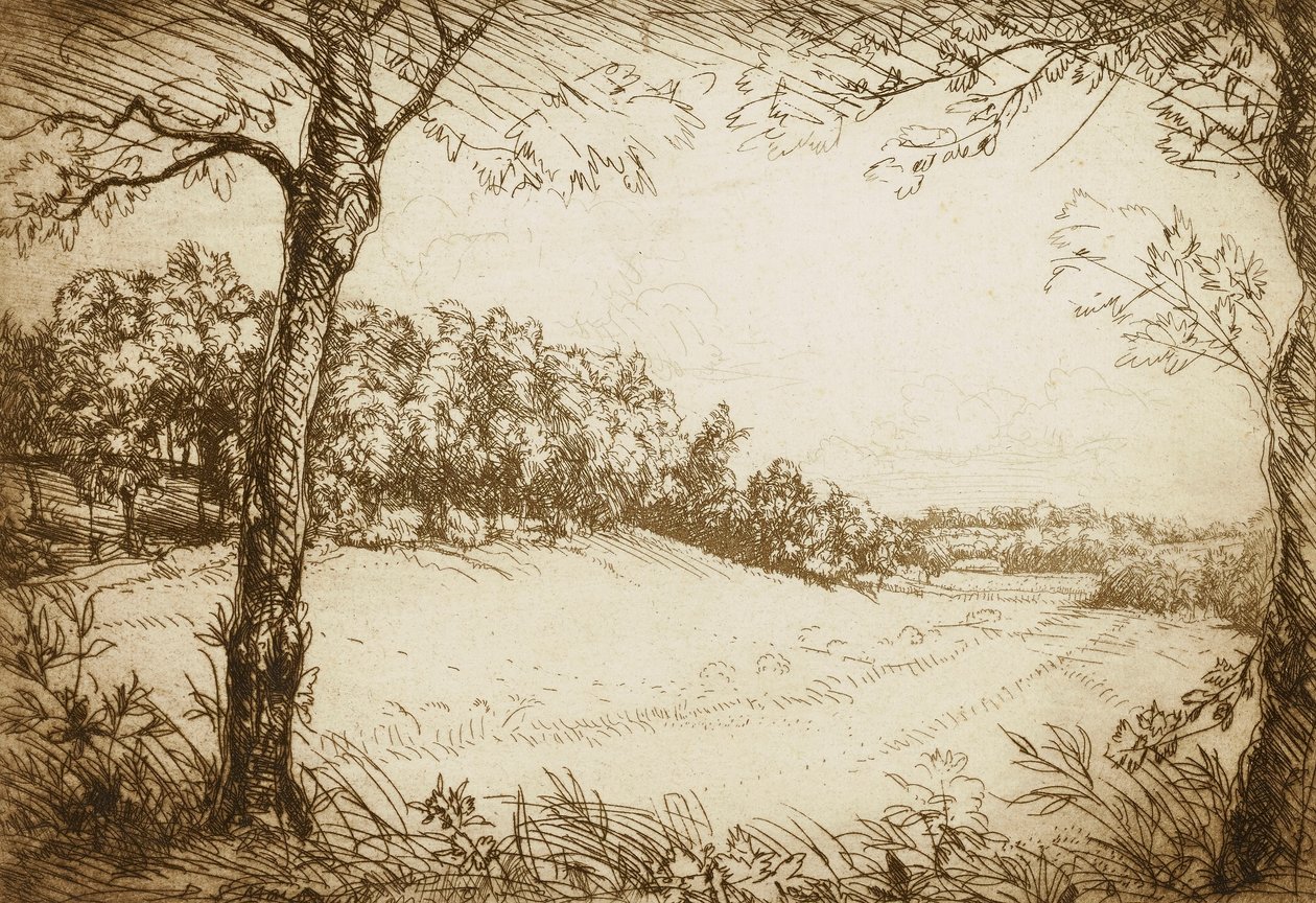 Sommermorgen i Tennessee af Donald Shaw MacLaughlan