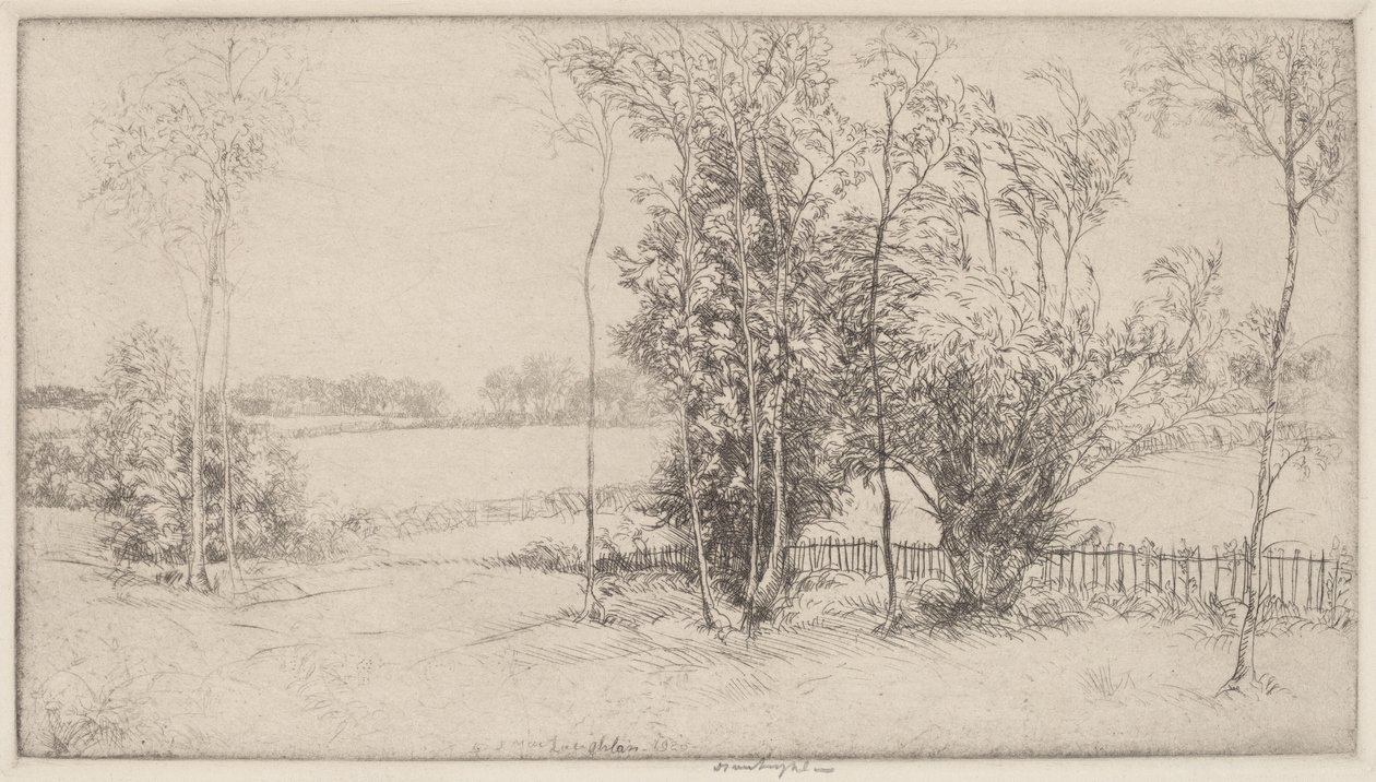 Sussex Landskab af Donald Shaw MacLaughlan