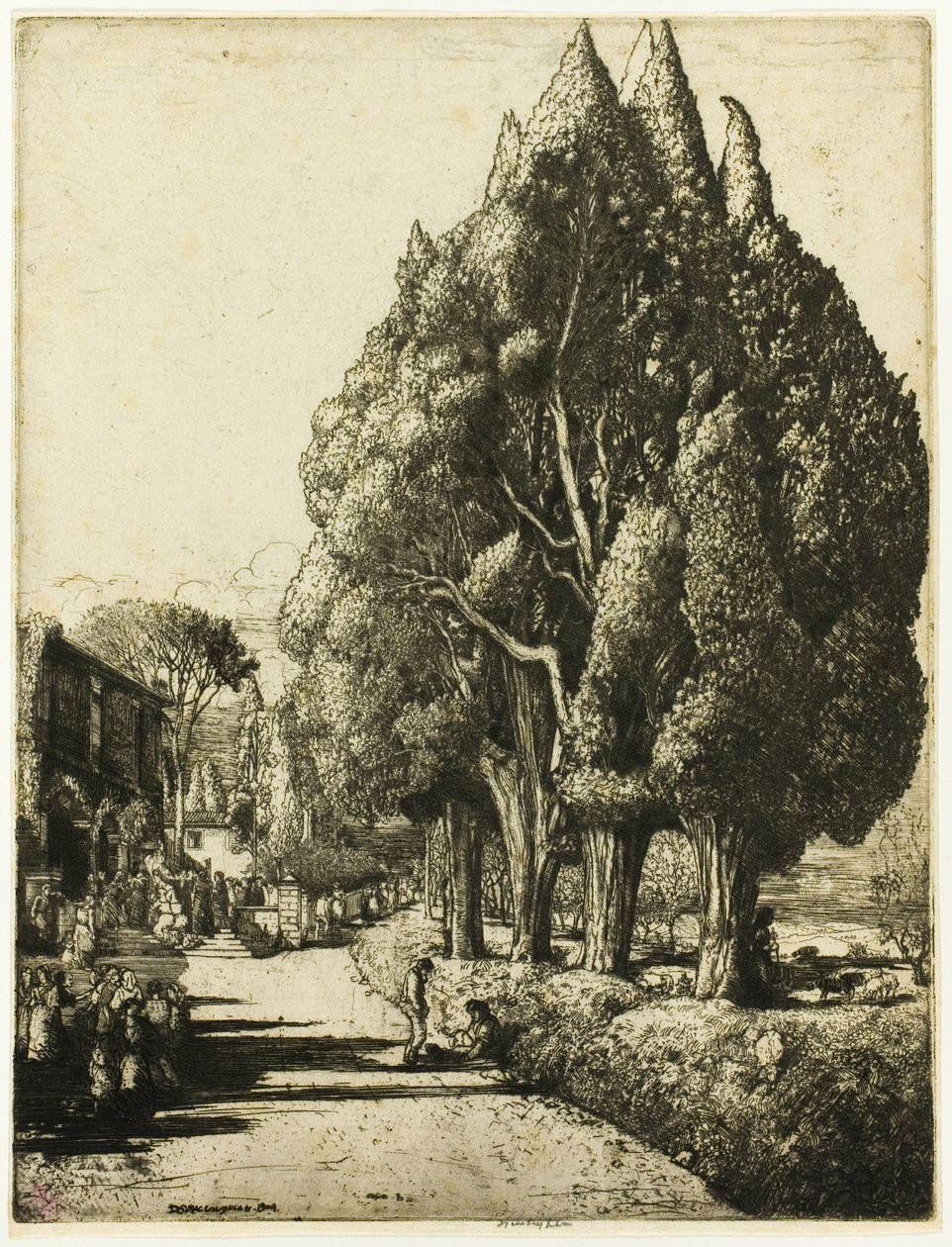 Cypreslunden af Donald Shaw MacLaughlan