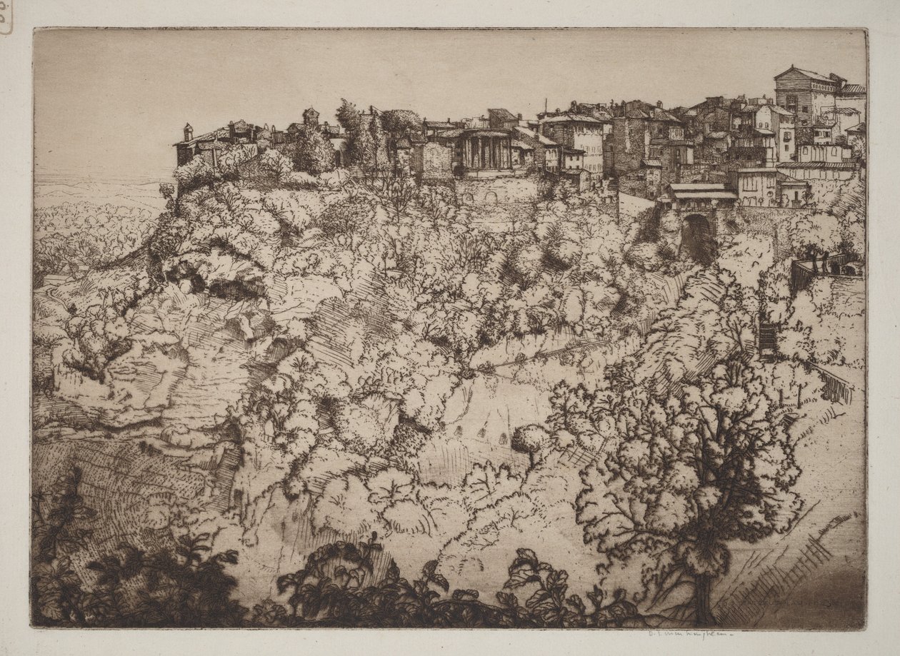 Tivoli af Donald Shaw MacLaughlan