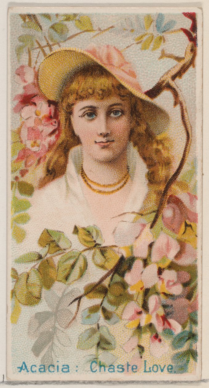 Acacia: Chaste Love, fra serien Floral Beauties and Language of Flowers N75 for Duk..., 1892. af Donaldson Brothers