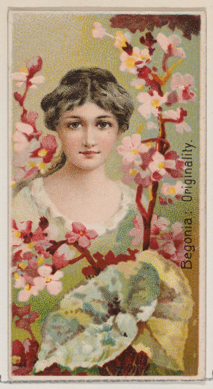 Begonia: Originality, fra serien Floral Beauties and Language of Flowers N75 for Du..., 1892. af Donaldson Brothers