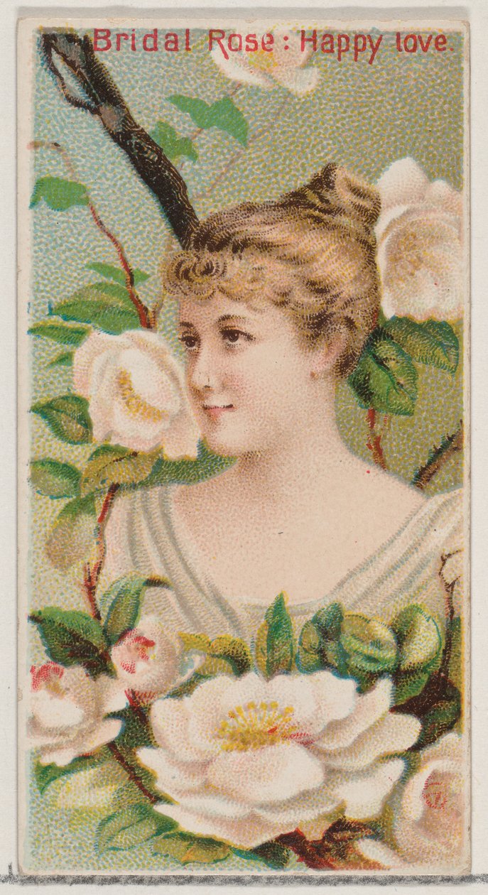Bridal Rose: Happy Love, fra serien Floral Beauties and Language of Flowers N75 for..., 1892. af Donaldson Brothers
