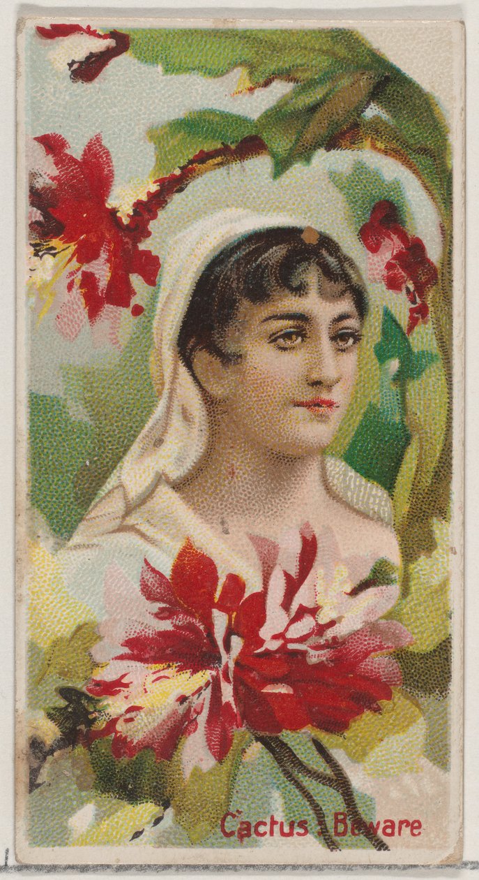 Cactus: Pas på, fra serien Floral Beauties and Language of Flowers N75 til Duke bra..., 1892. af Donaldson Brothers
