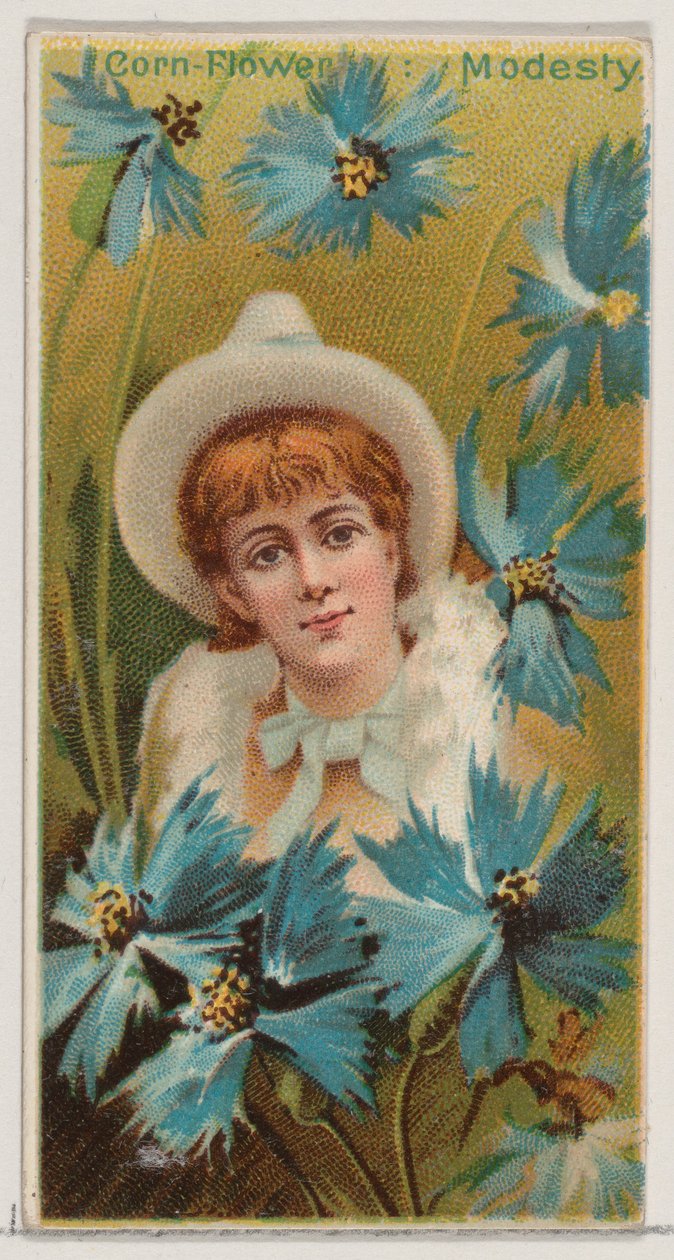 Cornflower: Modesty, fra serien Floral Beauties and Language of Flowers N75 for Duk..., 1892. af Donaldson Brothers